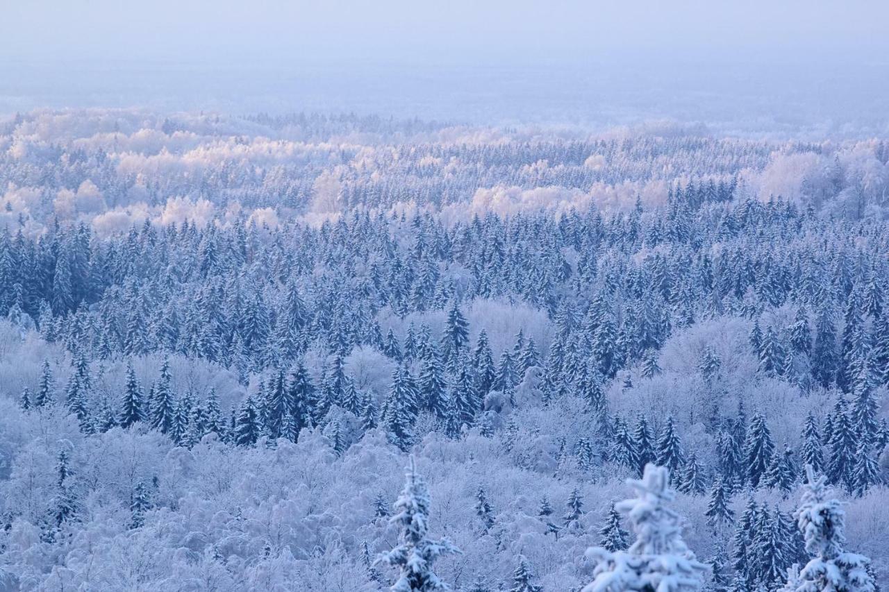 Ardennes Forest Nassogne Екстериор снимка